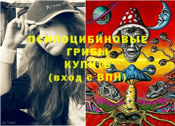 mdpv Заволжск