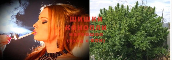 mdpv Заволжск