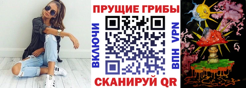 Галлюциногенные грибы Cubensis  Купить  Елизово 